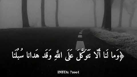 حالات واتس اسلام صبحى تلاوه تقشعر لها الابدان