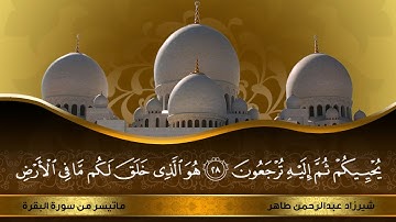 سورة البقرة للقارئ الشيخ شيرزاد عبدالرحمن