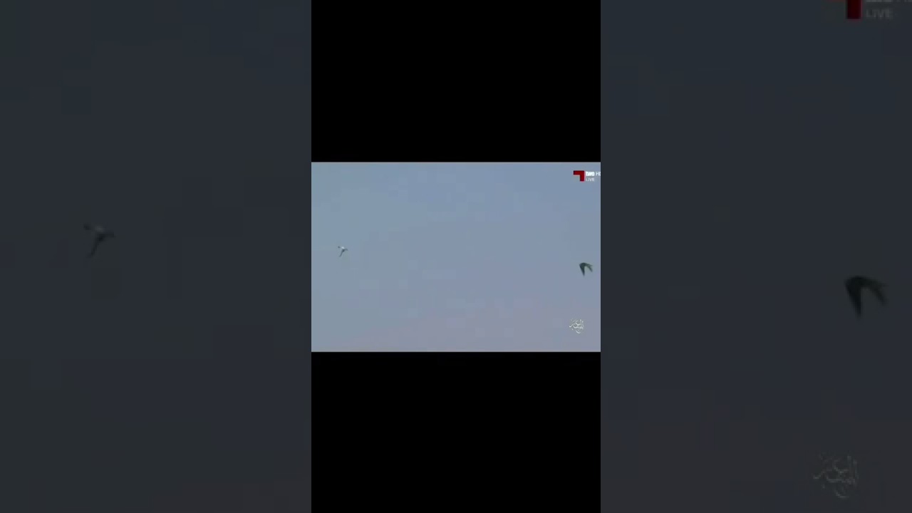 هدد الصباحية نهائي بطولة مرمي