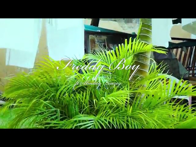 Fredy boy ft shady laizer Happy day official video HD class=