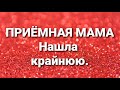 Дневник приёмной мамы/Обзор.