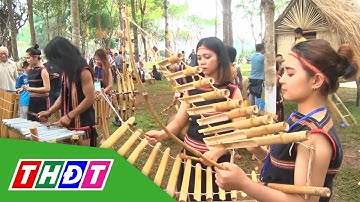 Sôi động Ngày hội văn hóa các dân tộc tỉnh Gia Lai | THDT