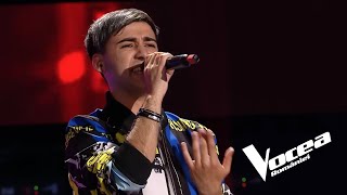 Vlad Șerban She Will Be Loved Audiții Pe Nevăzute Vocea României S11