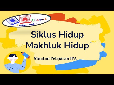 Video: Apa siklus hidup yang dimiliki manusia?