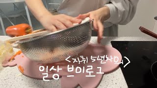 자취 브이로그 | 🏊수영 시작, 사랑니 뽑기, 김밥 만들기, 공부 계획 세우기, 알바 투잡, 고양이