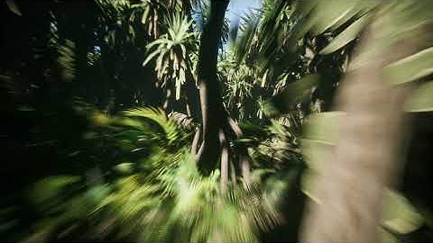 Huge Tropical Island Jungle Map in UE4 64KM