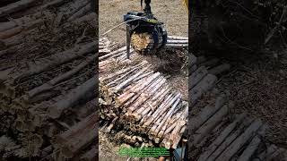 High-Speed Excavator Log Grapple Harvesting | Smart Timber Loading Technology