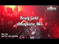 Rosey gold live at amafest x koko electronic  amapiano