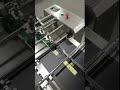 Amark Automatic Bag Paging Machine for Food Packaging with Friction Feeding System#paging#conveyor