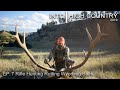 Rifle Hunting Rutting Wyoming Bulls