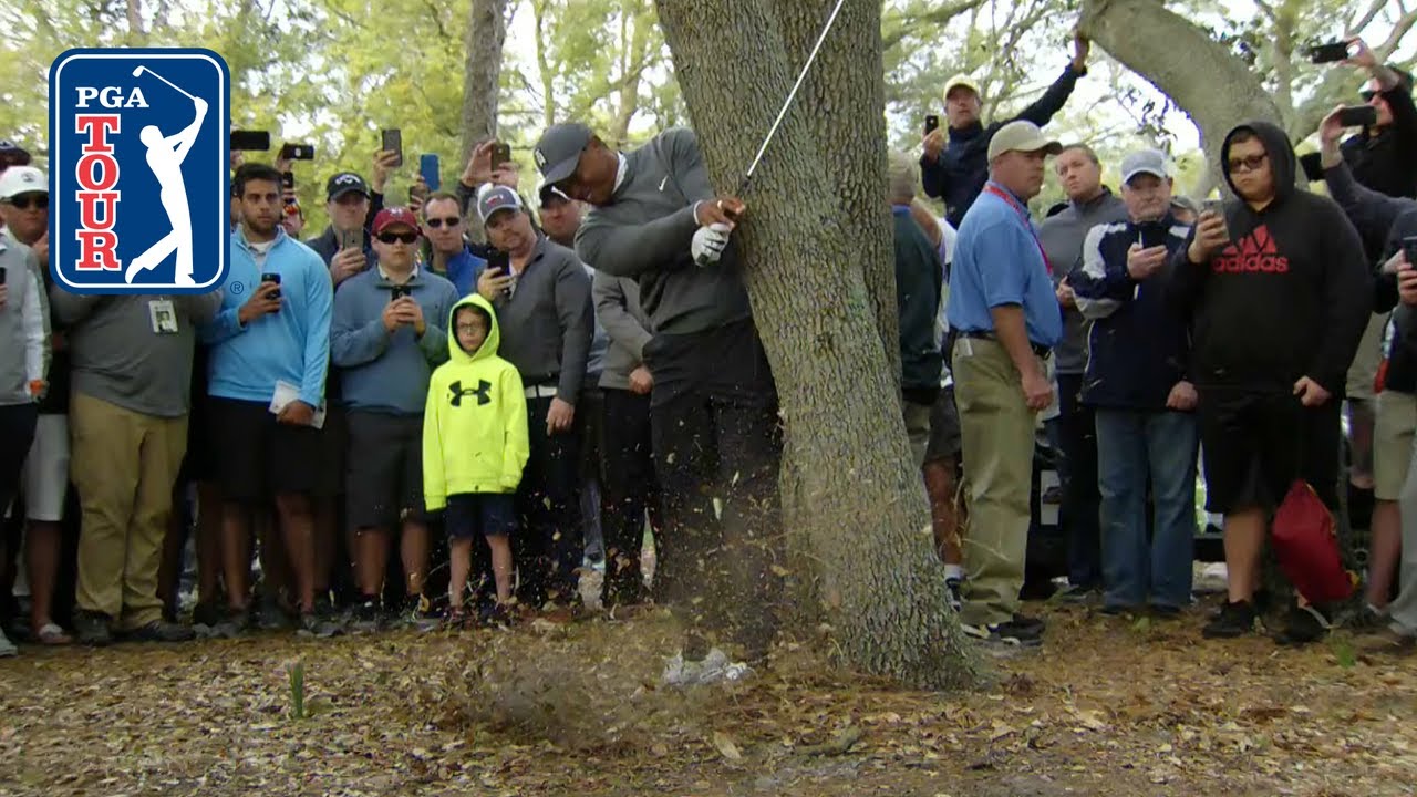 Check out the 24-hour loop of Tiger Woods' greatest moments at