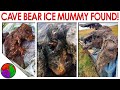 Cave-Bear Ice Mummy Found! | NEW DISCOVERY 2020
