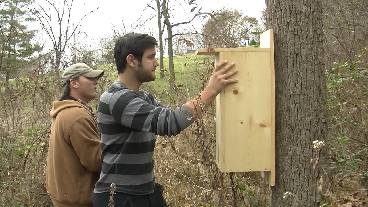 Eagle scout project bird houses Eagle scout project bird houses