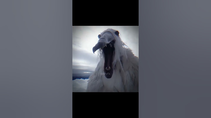 #sub #like #bird2027 #bird #2027 #scary #amazing #meme is meme 2027r this Bird is meme