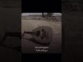 واليوم في صحراء الضما واليوم في صحراء الضما