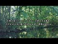 シューベルト/水車小屋の娘 Schubert"Die schöne Müllerin"