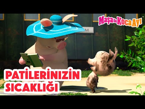 Maşa İle Koca Ayı - 🤗 Patilerinizin Sıcaklığı 💞🐾 Masha and the Bear Turkey