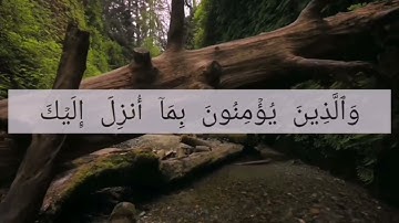 سورة البقرة -  الوجه الأول مكرر 10 مرات - الشيخ الحذيفي #سورة_البقرة #الحذيفي # حفظ_القرآن