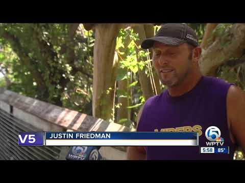 Fish kills spotted along beach at John D. MacArthur State Park