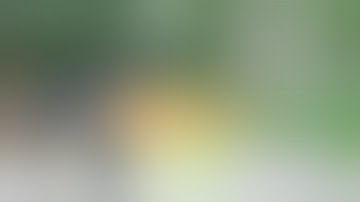 FosTech Made An AK-47 Echo Trigger?!!!