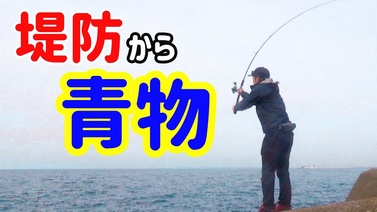 堤防からルアー投げたら大物が飛び出してきた