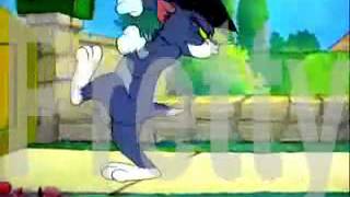 Tom And Jerry 1948 Professor Tom Segment 26