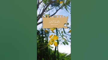 #تلاوات #تلاوات #آيات #القرآن_الكريم #قرآن #تلاوة #قران_كريم #قران #تلاوة_خاشعة  #القرآن #quran
