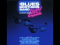 The Blues Brothers Band - Raise Your Hand