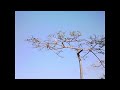 kile - Feel The Struggle (Official Audio)