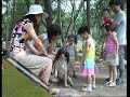 训狗教程|Dog training course|珍贵老视频 4训犬序言|Preface to Dog Training