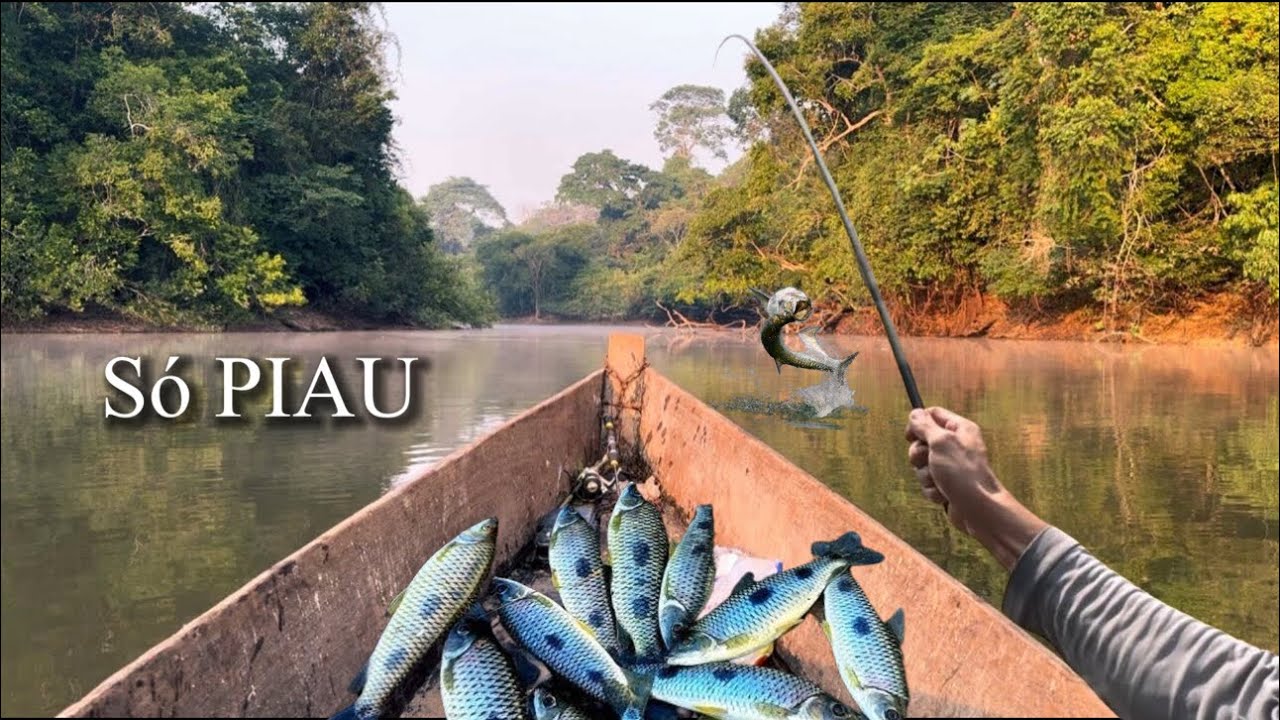 PESCARIA DE VARINHA DE MÃO FEZ SUCESSO NOS PIAU, FOI UM ATRÁS DO OUTRO, ERA SÓ JOGAR E PUXAR