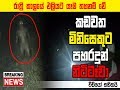 Nittawa | කඩවත මිනිසෙකුට දරැනු ලෙස පහර දී ගම්මුන් බියවැද්දූ නිට්ටෑවා හසුවේ.