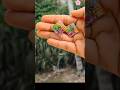 Resin Earrings making tutorial #resin #resinart #art #earrings #trending #shorts