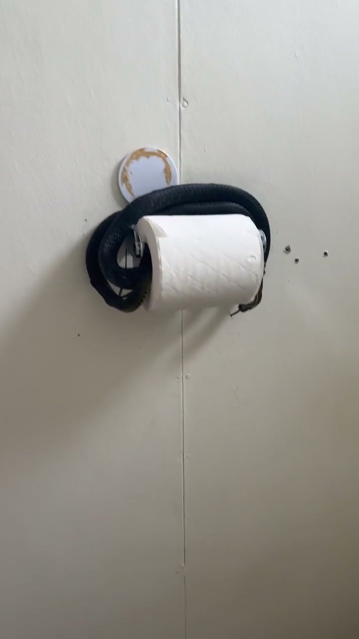 Snake Protects Toilet Paper || ViralHog