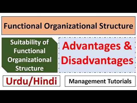 Video: Kokie yra funkcinės organizacijos pranašumai?