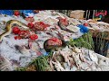 جولة بسوق السمك الشعبي 🐟 بمدينة نصر لرصد الانواع والاسعار بعد فتح موسم الصيد بالسويس