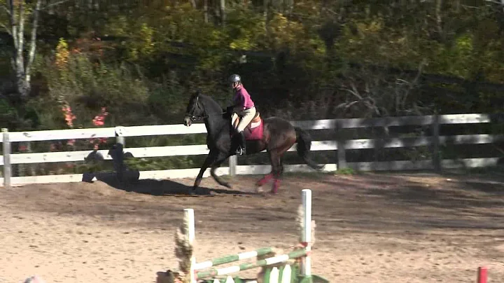 Guilford Riding School Jill Tripp Imanol Clinic