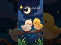 توت توت هاذي البيضة فيها كتكوت كتكوت كت طي طيور الجنة طيور بيبي Toyorbaby اغانى اطفال 