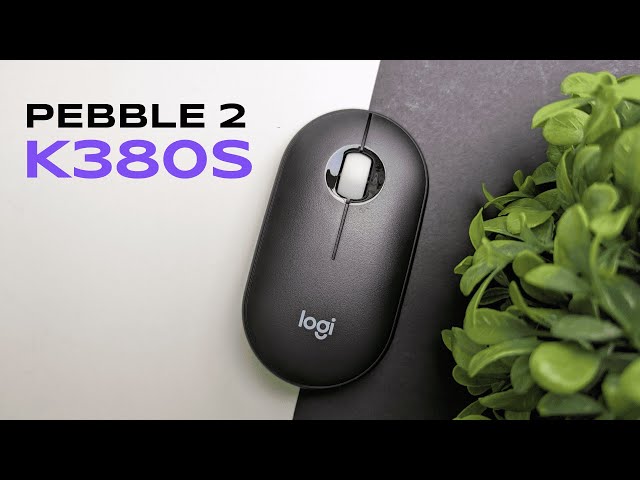 Pebble Mouse 2 M350s