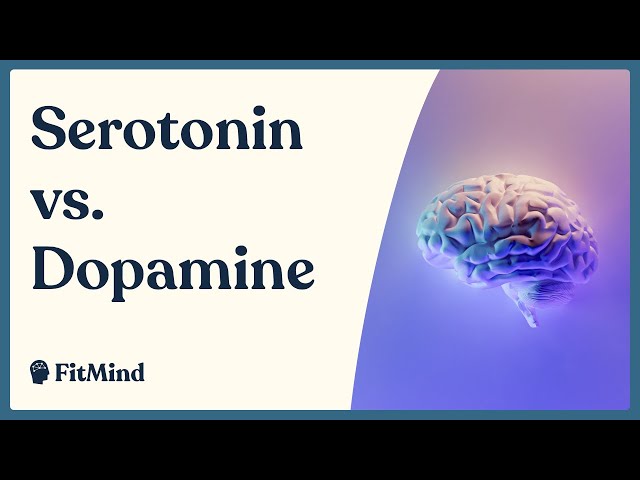 Serotonin vs. Dopamine - 7 Key Differences Between Pleasure and Happiness class=
