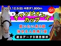 【チャンピオンズカップ2021】過去データ9項目解析!!買いたい馬3頭と消せる人気馬1頭について(競馬予想)