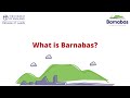 What is Barnabas?