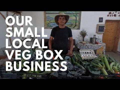 Find Out How Our Veg Box Service Works From Harvesting To Packing