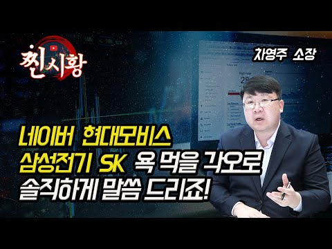 [찐시황] 불안한 네이버, 현대모비스의 주가 전망, 욕 먹을 각오로 솔직히 말씀드리죠! | 차영주 소장