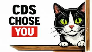 Cat Distribution System Chose YOU – Now What | cat behavior explained