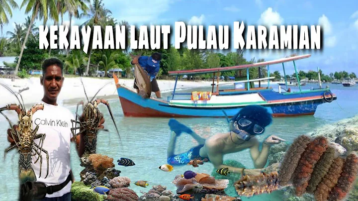 Kekayaan Laut Pulau Karamian Indonesia