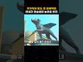 키가 작아 안내견의 꿈을 포기해야 했던 연습생의 기적같은 반전