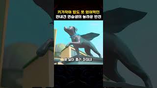 키가 작아 안내견의 꿈을 포기해야 했던 연습생의 기적같은 반전