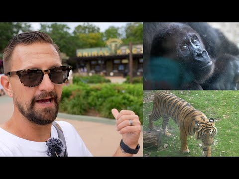 An Animal Filled Day At Disney's Animal Kingdom! | Baby Animals, Things We Don't Normally Do & More