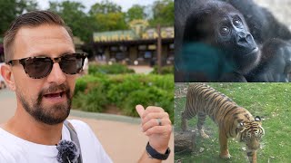 An Animal Filled Day At Disney's Animal Kingdom! | Baby Animals, Things We Don't Normally Do & More